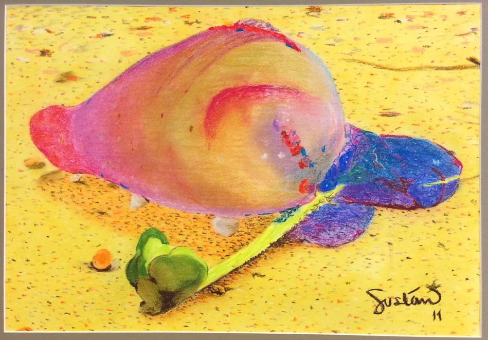 Água viva na praia do Coqueiro